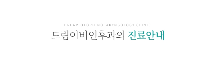 드림이비인후과 진료안내