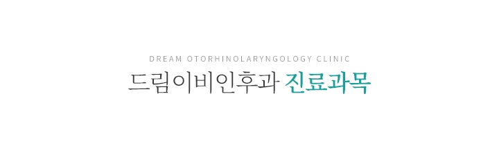 드림이비인후과 진료과목