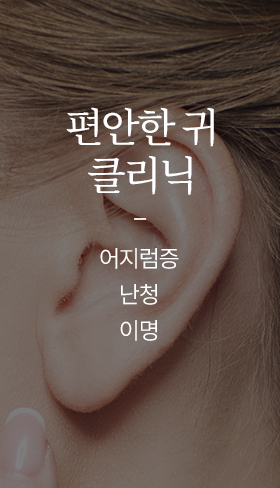 편안한 귀 클리닉